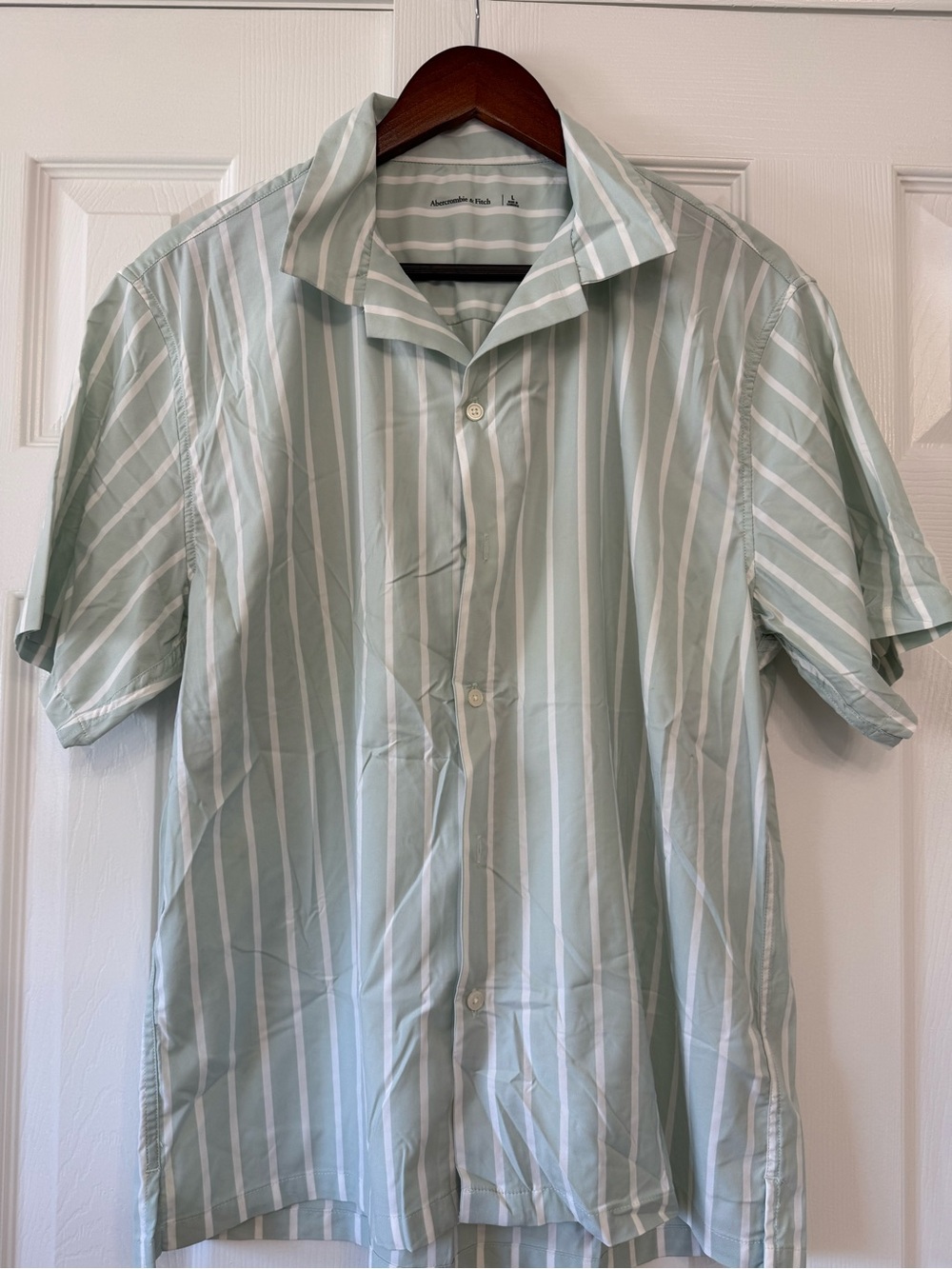Abercrombie & Fitch Light Green and White Striped Short Sleeve Button-Down Shirt